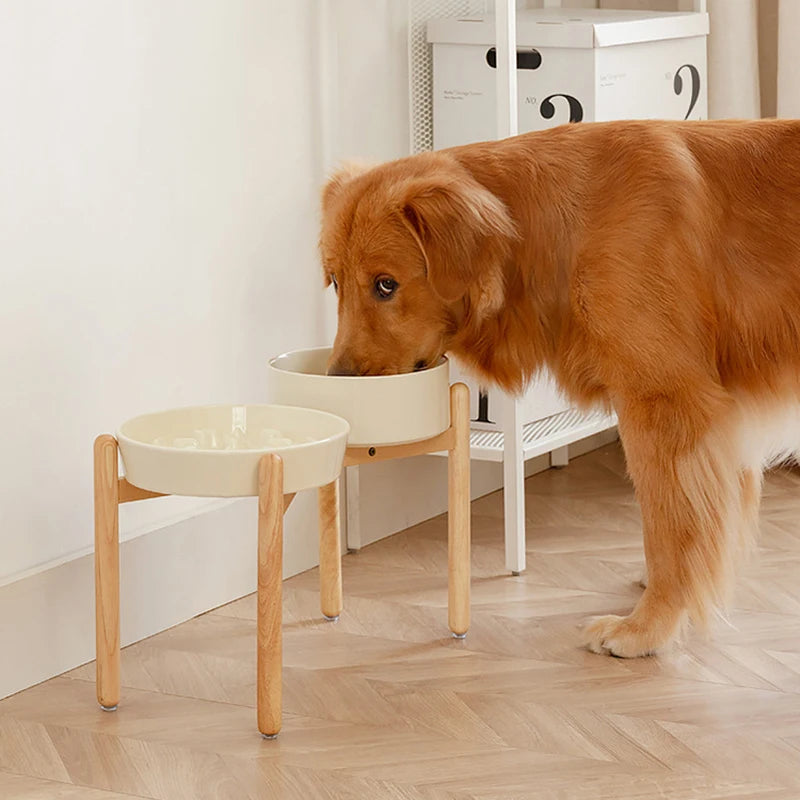 Miski Ceramiczne Spowalniające Jedzenie