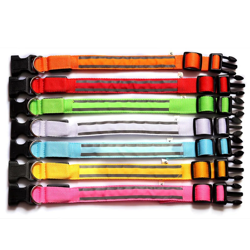 Obroże świecące w ciemności