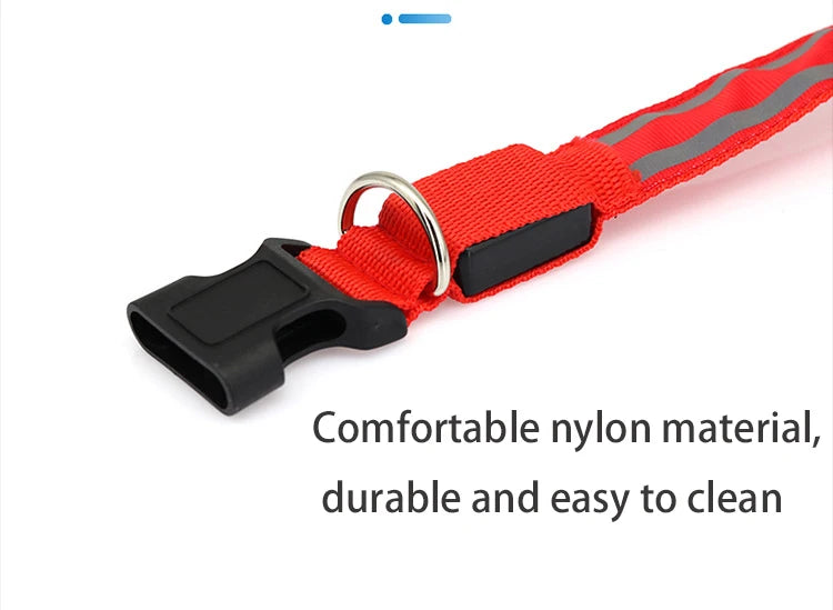 Obroże świecące w ciemności