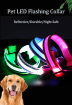 Obroże świecące w ciemności