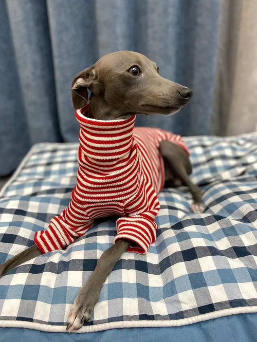 Czerwony Sweter w Paski