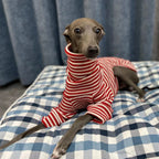 Czerwony Sweter w Paski