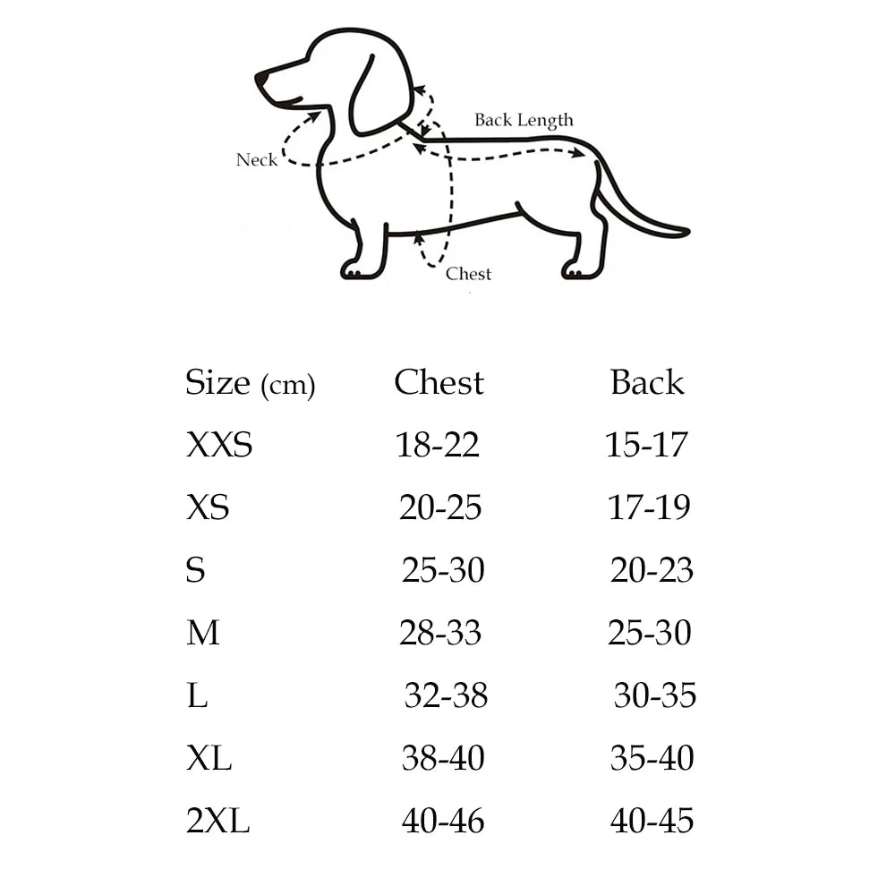 Elegancki Sweter z Golfem