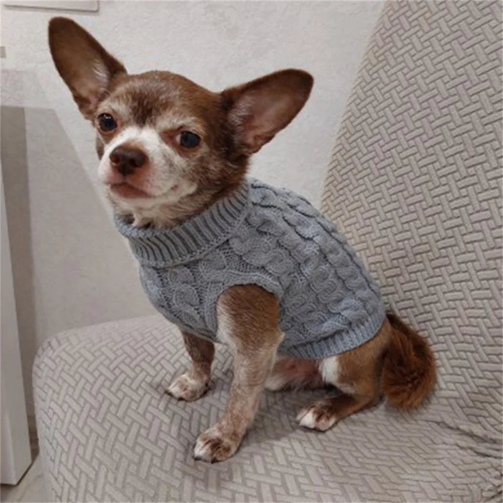 Sweter dla Chihuahua i Małych Psów