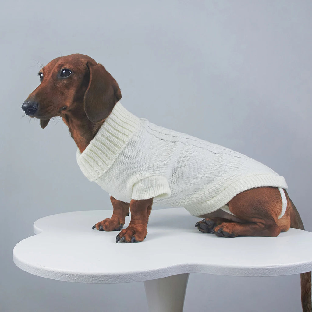 Elegancki Sweter z Golfem
