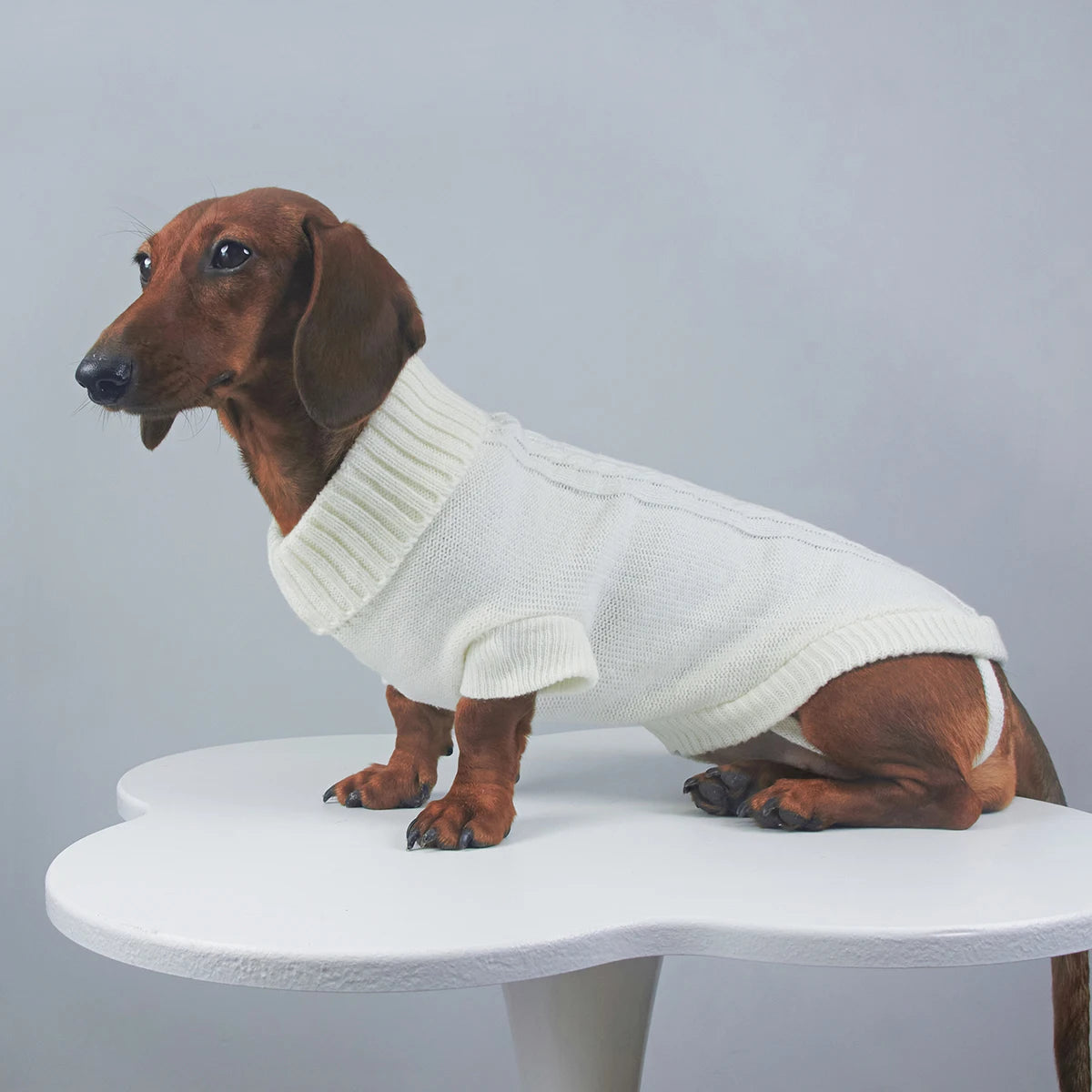 Elegancki Sweter z Golfem