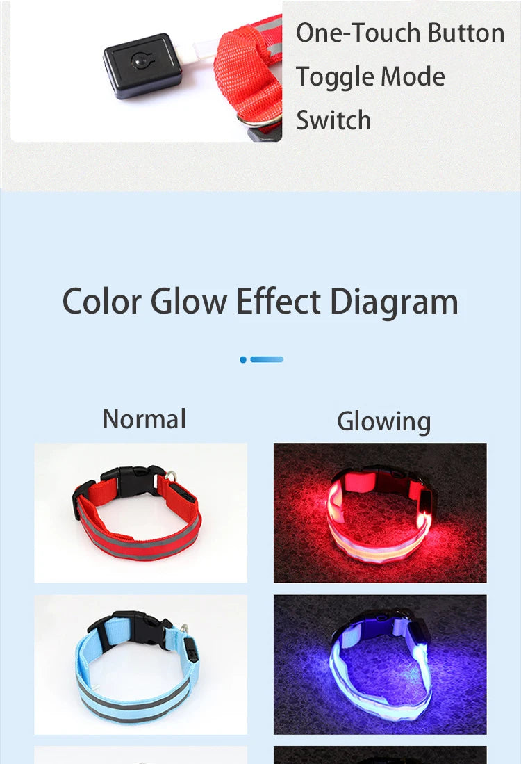 Obroże świecące w ciemności