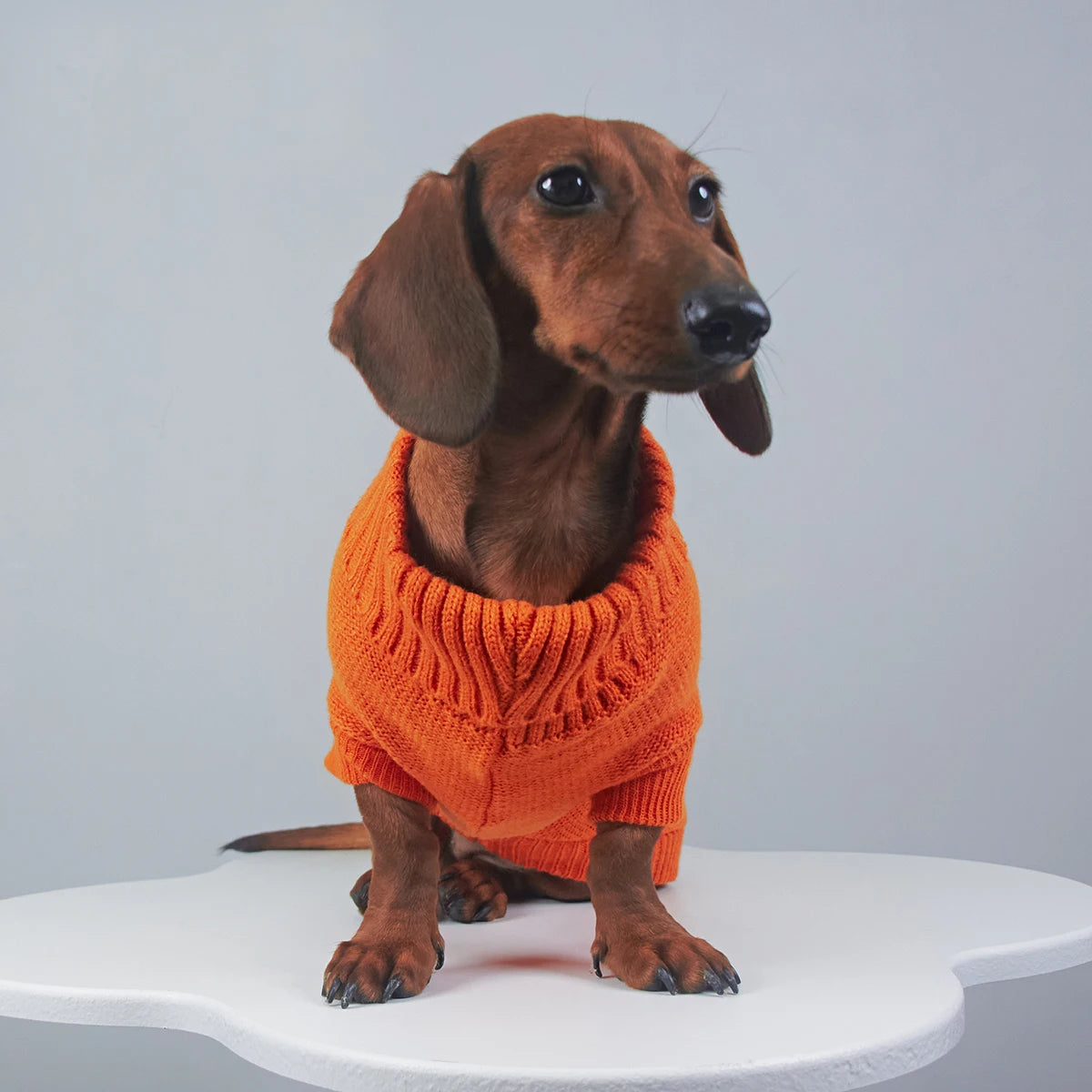 Elegancki Sweter z Golfem