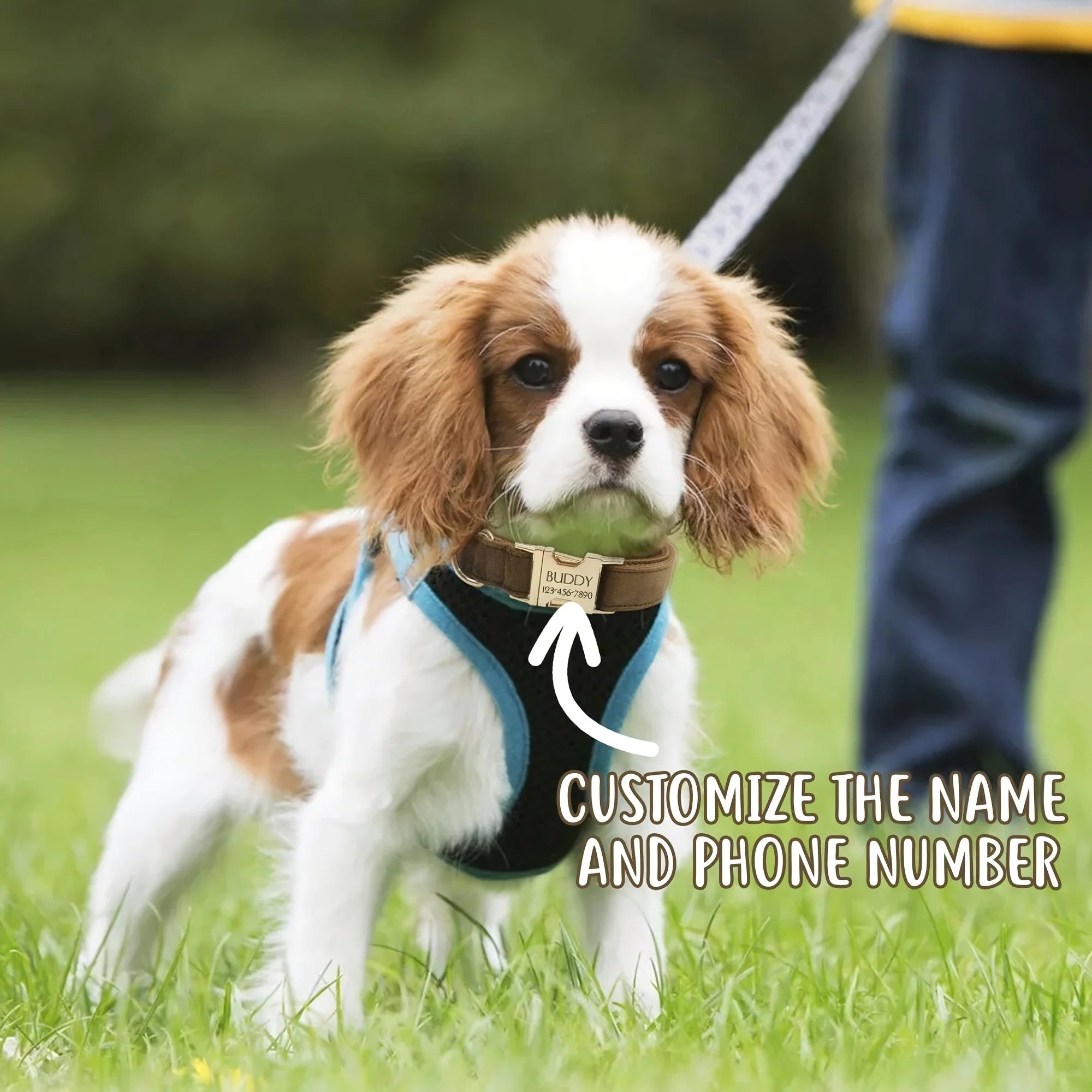 Obroża Personalizowana