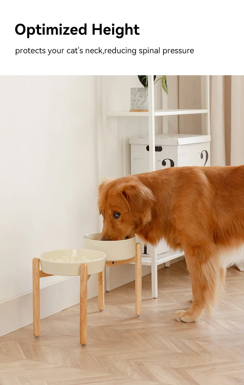 Miski Ceramiczne Spowalniające Jedzenie